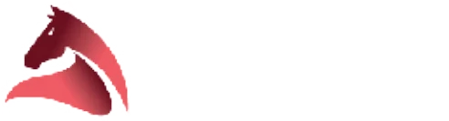 Özyurtlar Holding